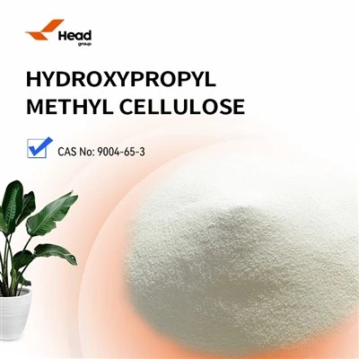 HPMC per a Wall Putty